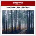 嫌疑人被设500万美元保释金 肯特双杀案审理