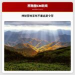 神秘营地宣布不重启夏令营