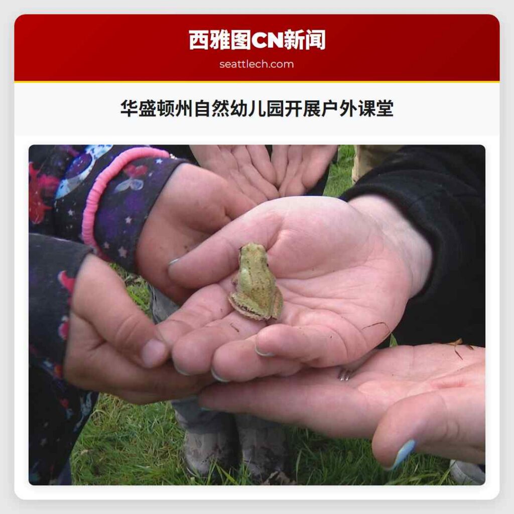 华盛顿州自然幼儿园开展户外课堂