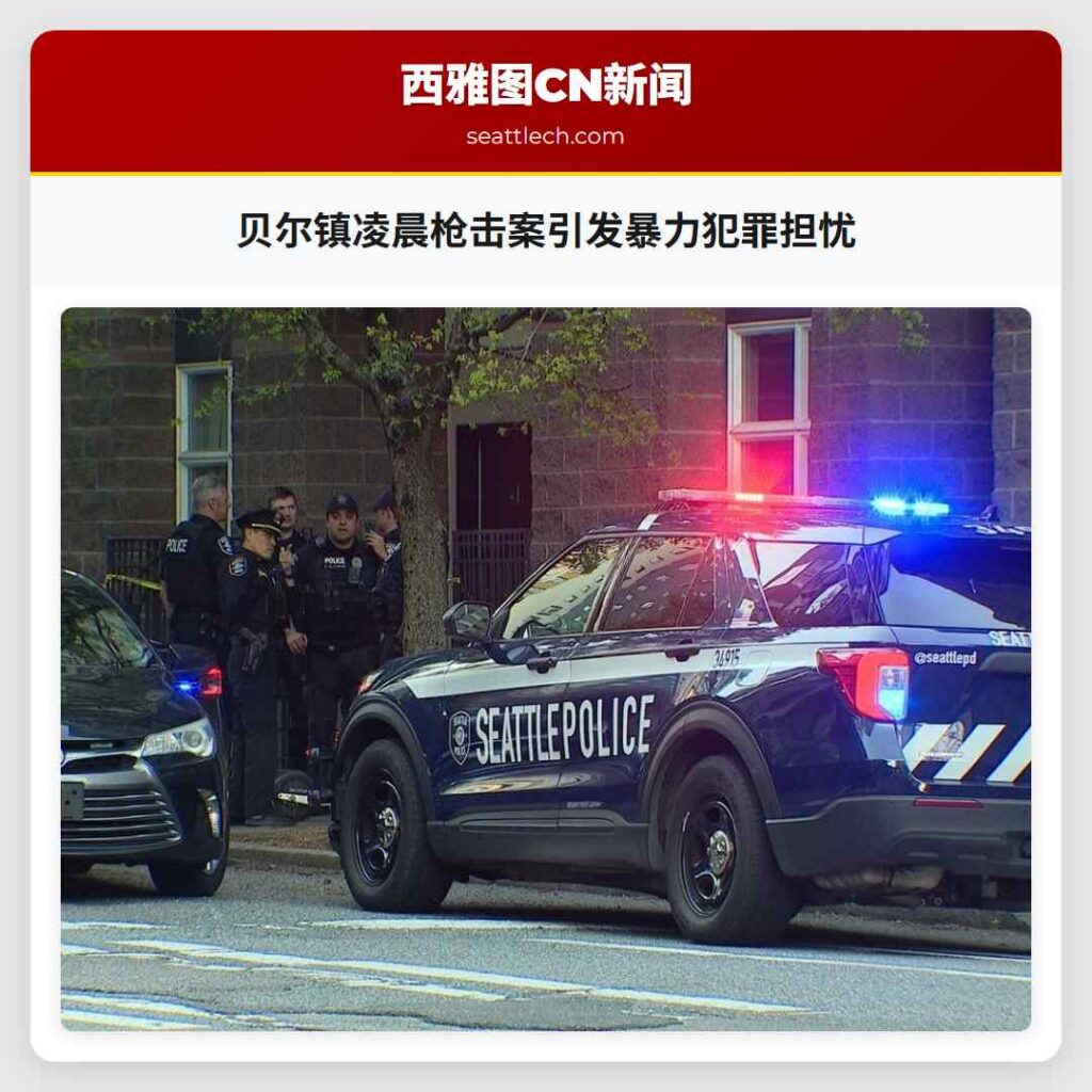 贝尔镇凌晨枪击案引发暴力犯罪担忧