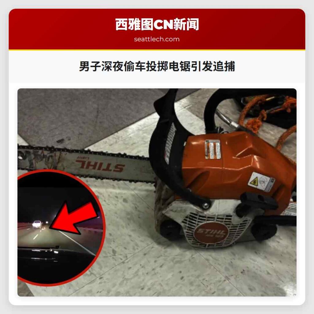 男子深夜偷车投掷电锯引发追捕
