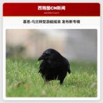 基思·乌兰转型游艇摇滚 发布新专辑