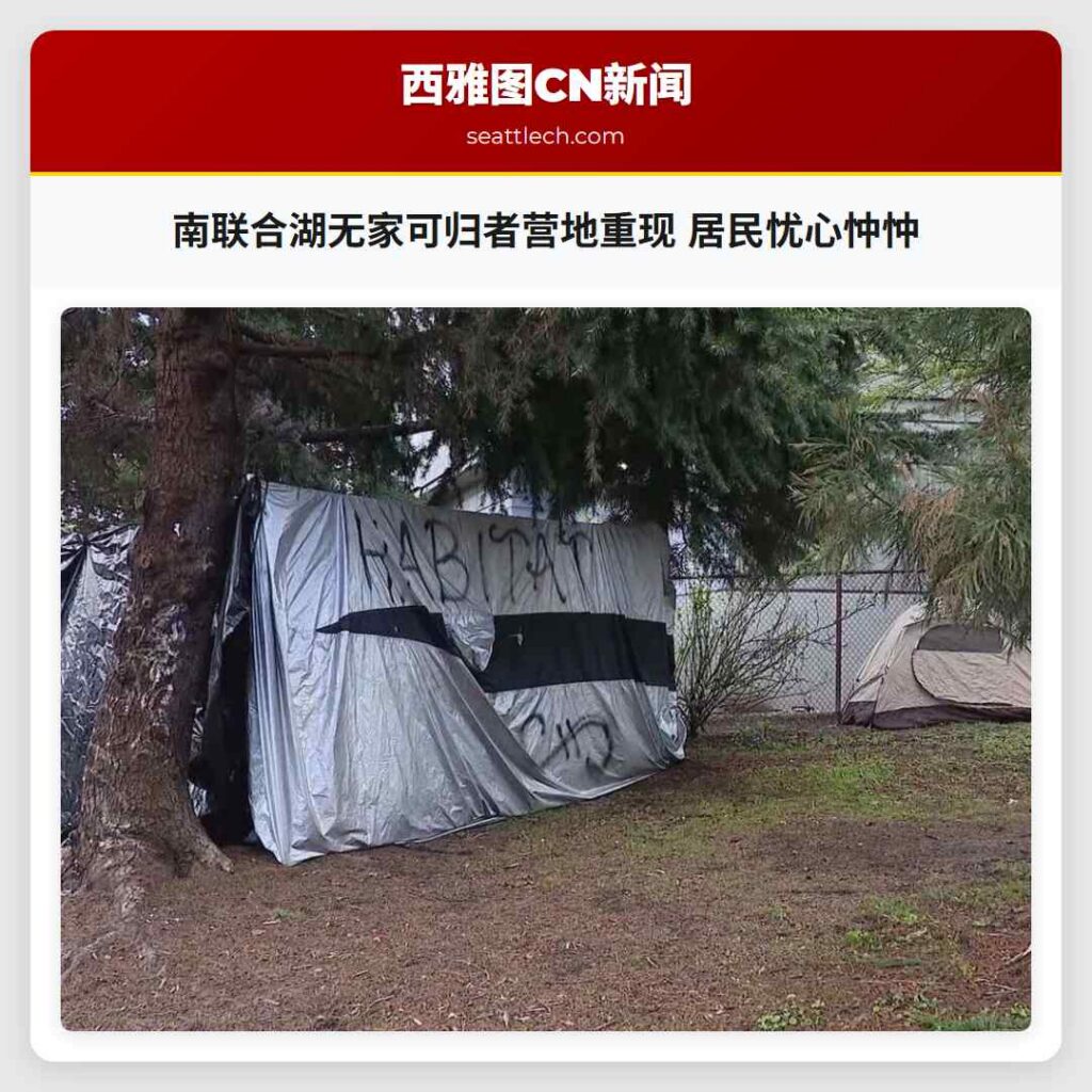 南联合湖无家可归者营地重现 居民忧心忡忡