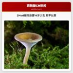 D4vd被控杀害14岁少女 拒不认罪