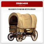 前达拉斯牛仔中锋约翰·菲茨杰拉德逝世