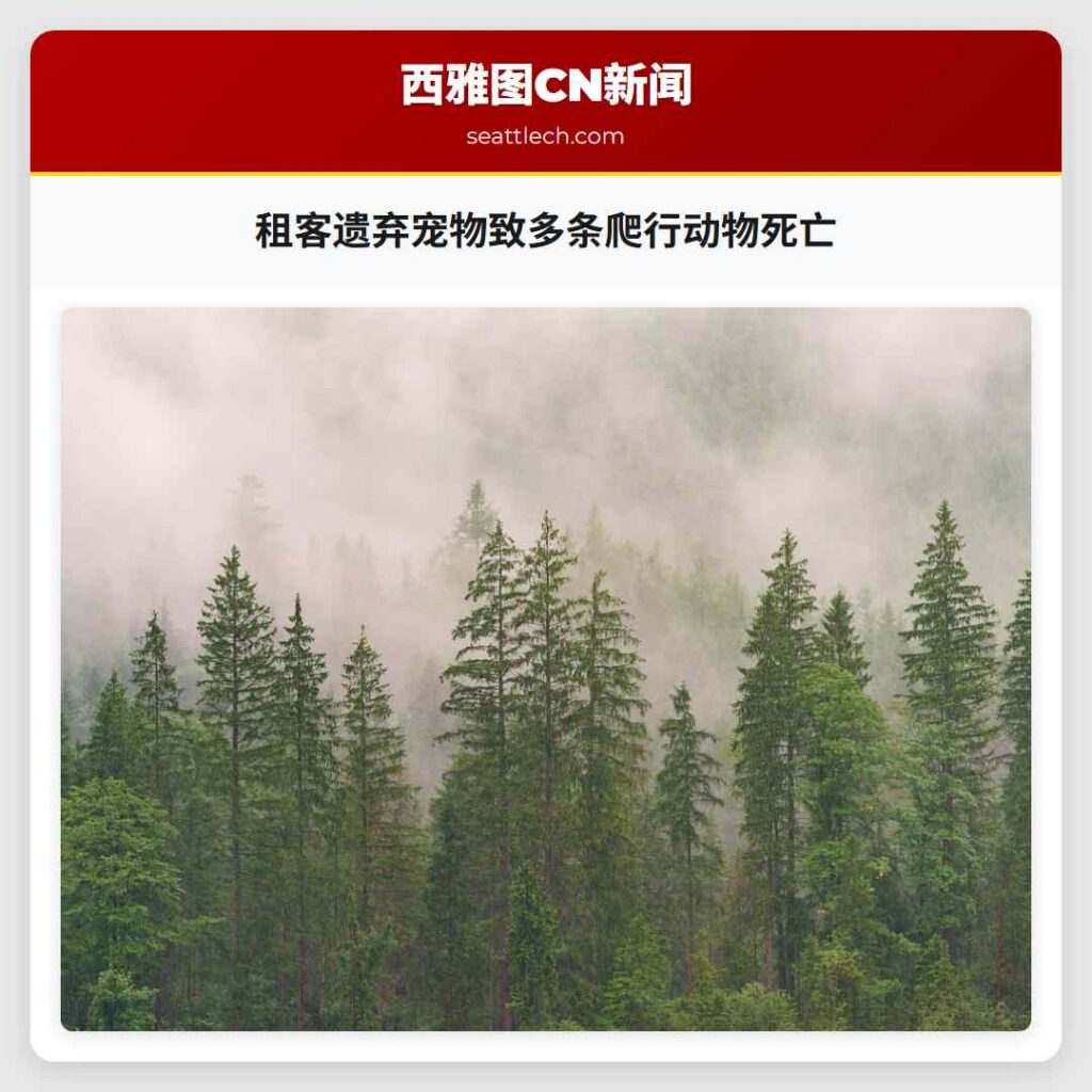 租客遗弃宠物致多条爬行动物死亡