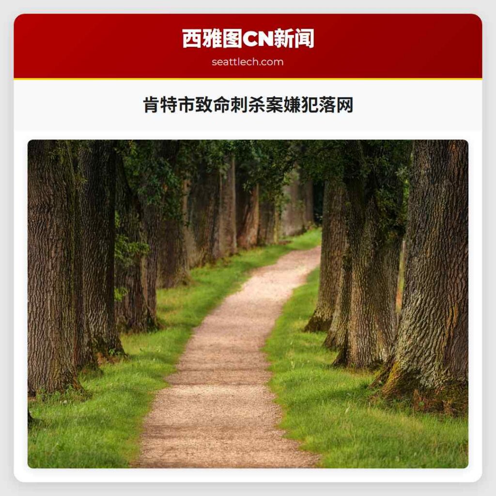 肯特市致命刺杀案嫌犯落网