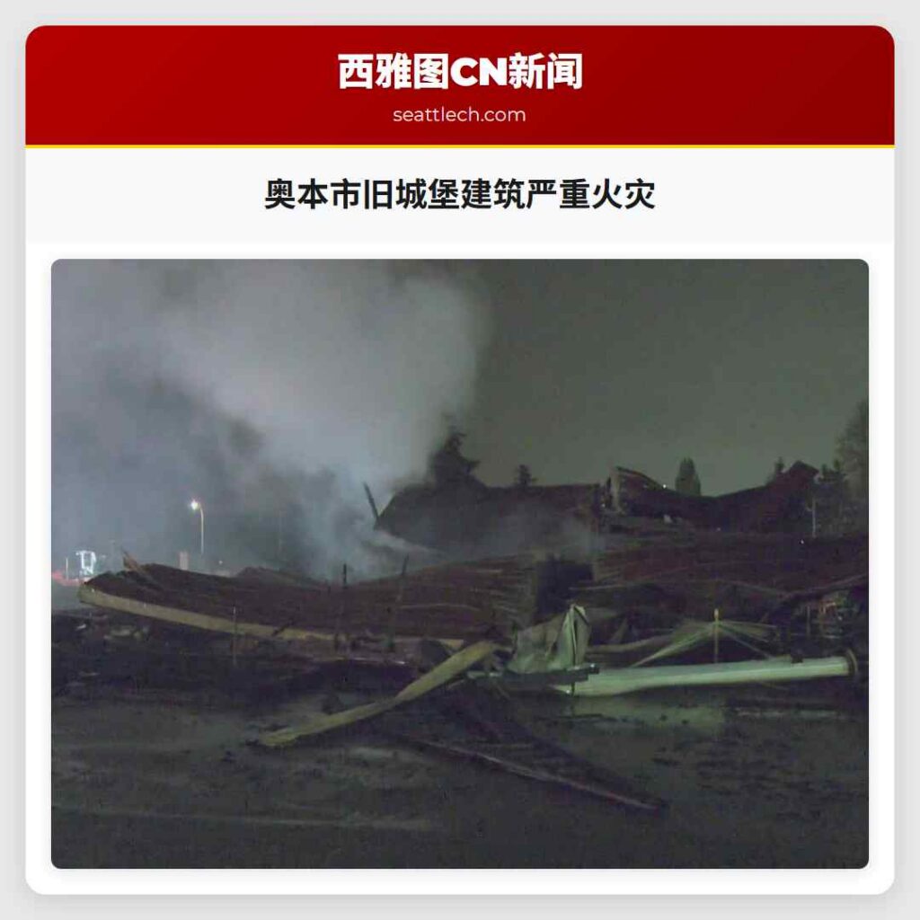 奥本市旧城堡建筑严重火灾
