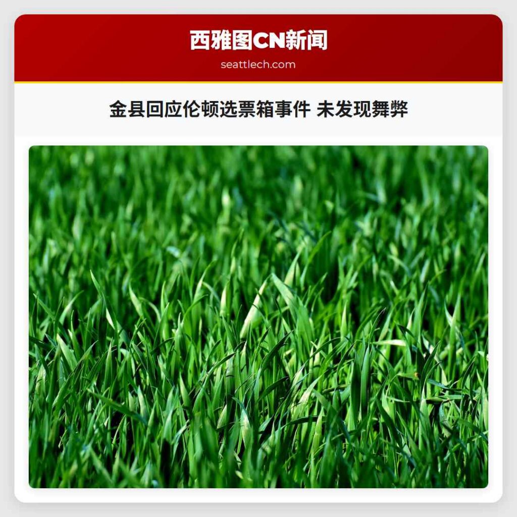 金县回应伦顿选票箱事件 未发现舞弊