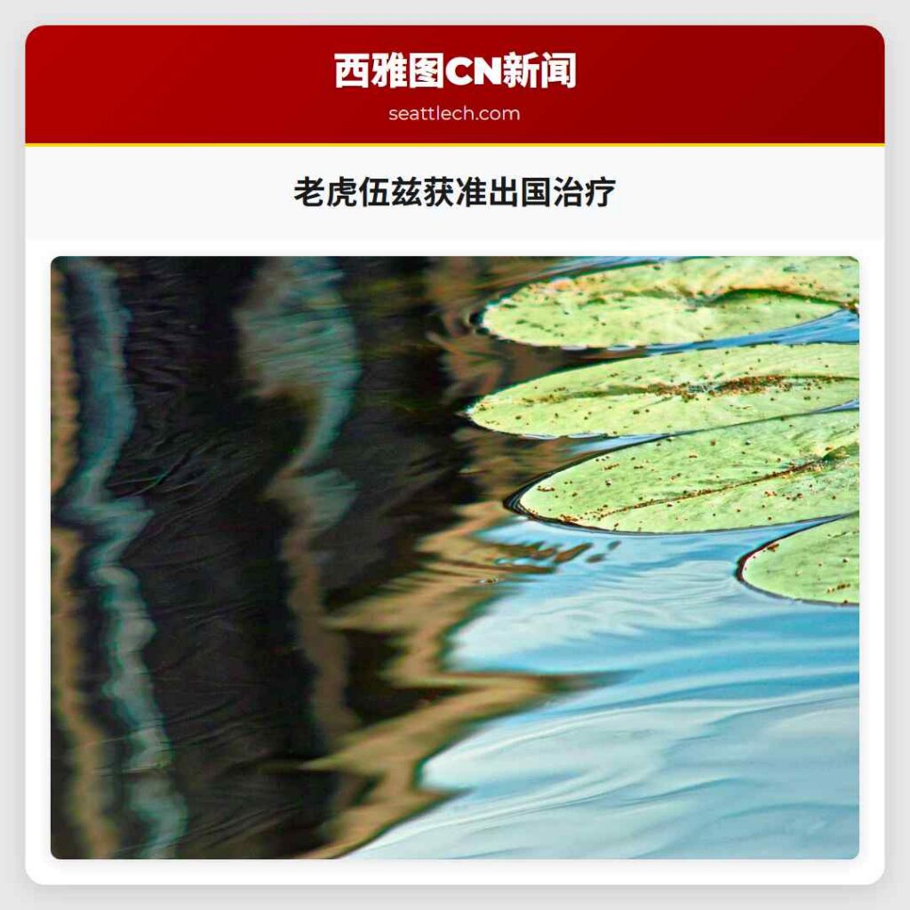 老虎伍兹获准出国治疗