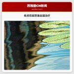 老虎伍兹获准出国接受综合住院治疗