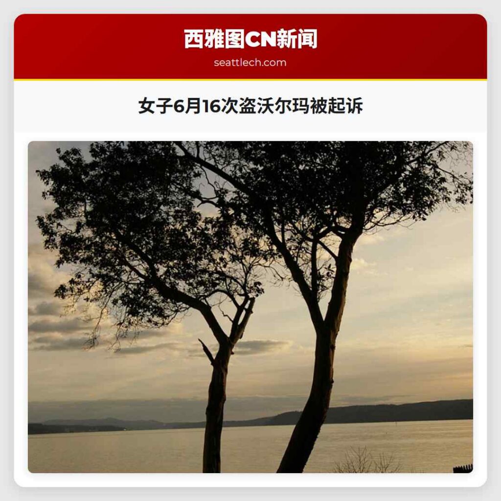 女子6月16次盗沃尔玛被起诉