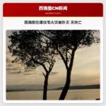 西雅图在建住宅火灾被扑灭 无伤亡