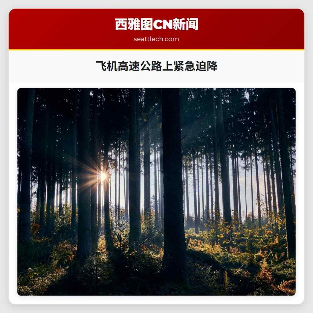 飞机高速公路上紧急迫降