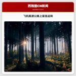 必须观看：飞机紧急降落在高速公路上