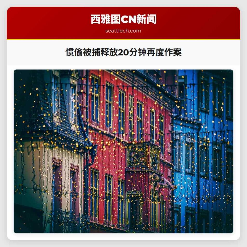 惯偷被捕释放20分钟再度作案