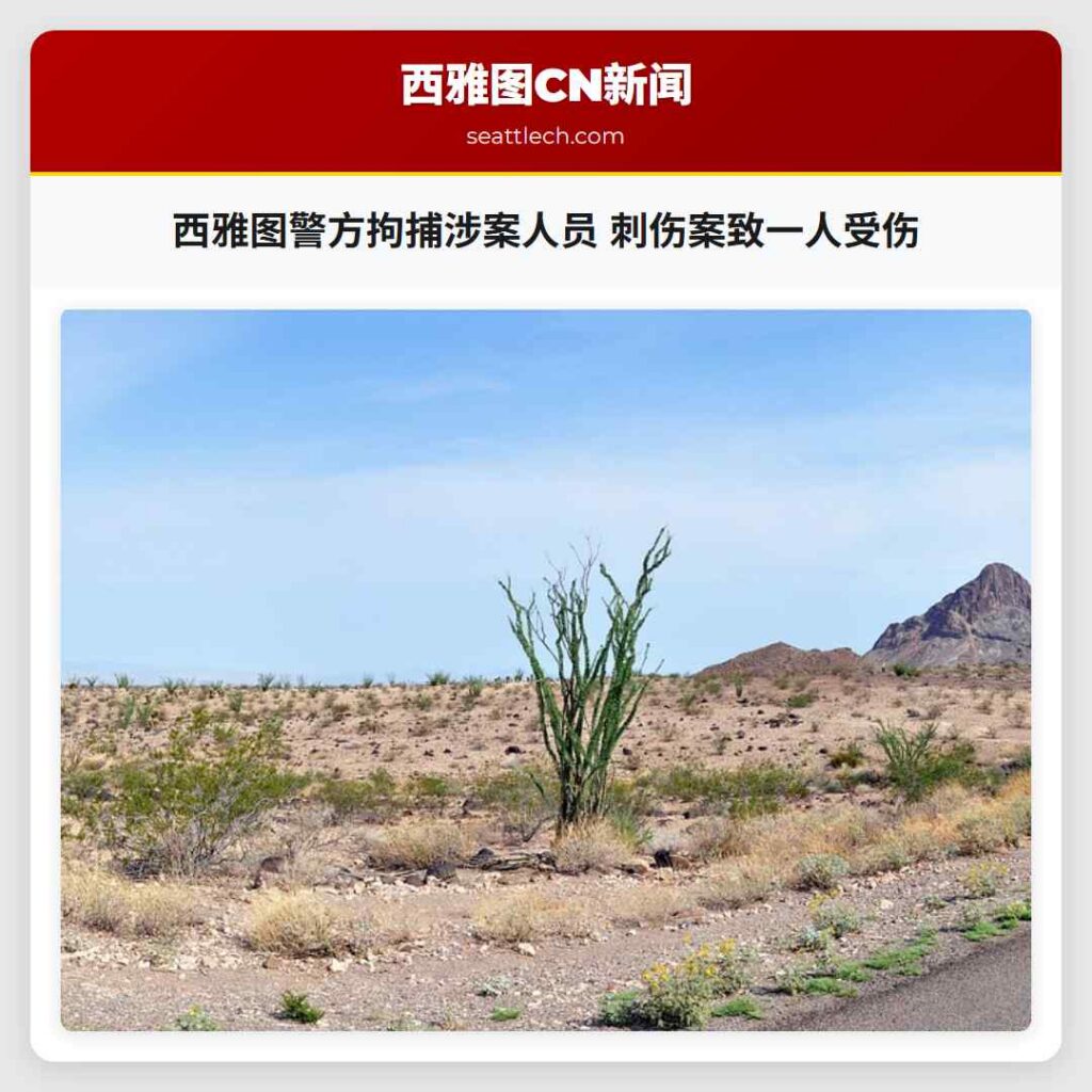 西雅图警方拘捕涉案人员 刺伤案致一人受伤