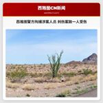 西雅图警方拘捕涉案人员 芝利山刺伤事件致一人受伤