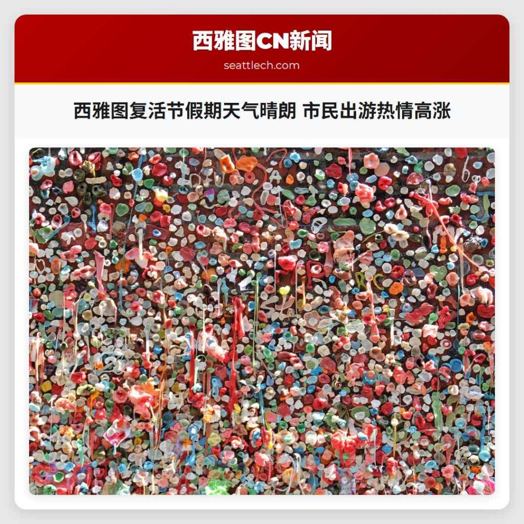 西雅图复活节假期天气晴朗 市民出游热情高涨