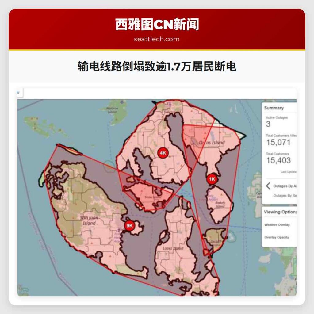 输电线路倒塌致逾1.7万居民断电