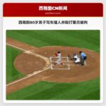 西雅图80岁男子驾车撞人并殴打警员被拘