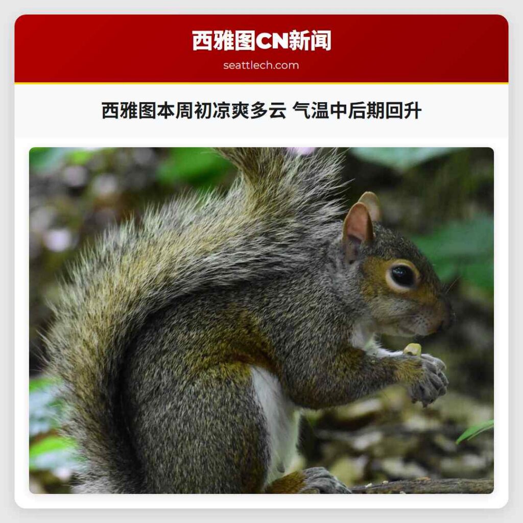 西雅图本周初凉爽多云 气温中后期回升