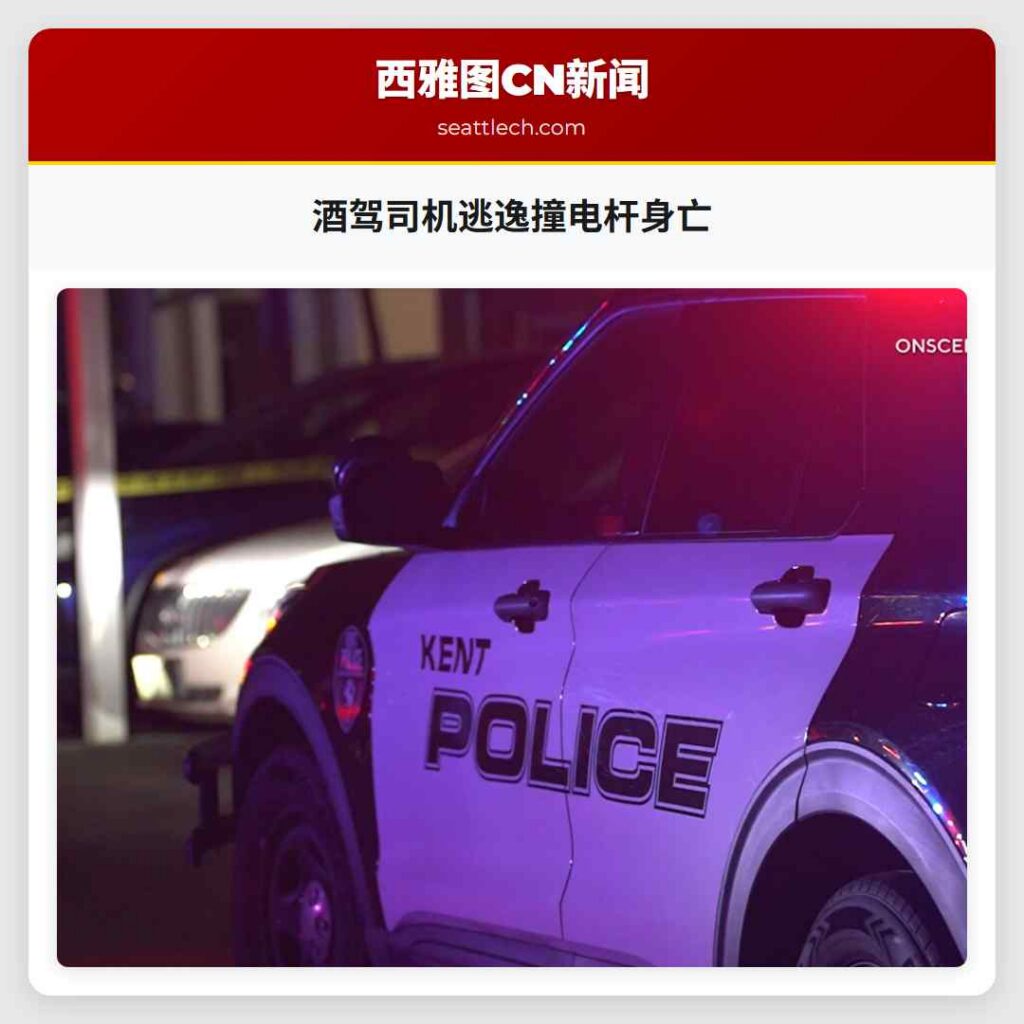 酒驾司机逃逸撞电杆身亡