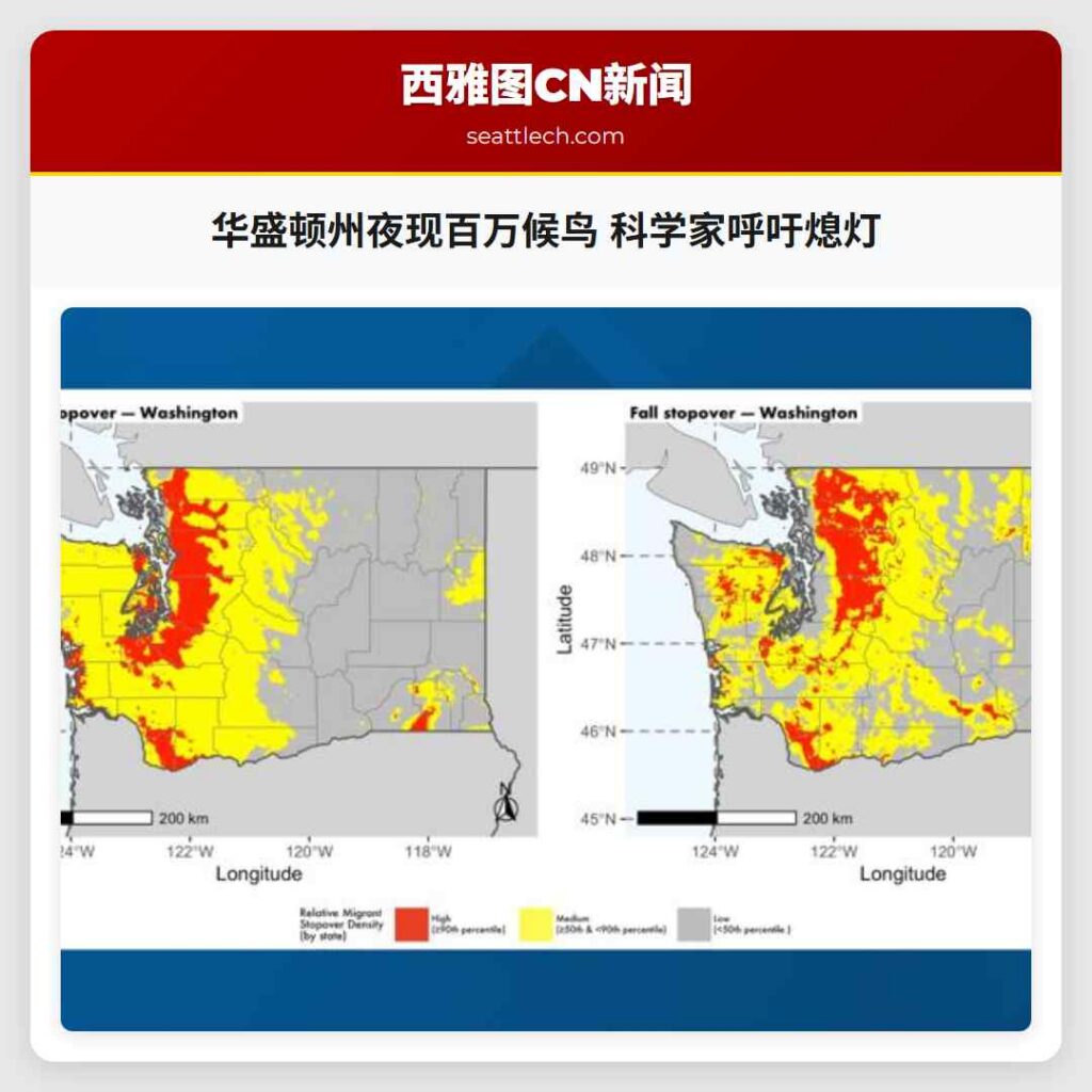 华盛顿州夜现百万候鸟 科学家呼吁熄灯