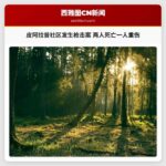 皮阿拉普社区发生枪击案 两人死亡一人重伤