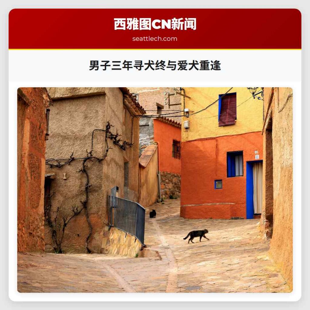 男子三年寻犬终与爱犬重逢