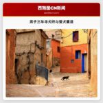 三年寻犬终得圆满，男子与爱犬重逢