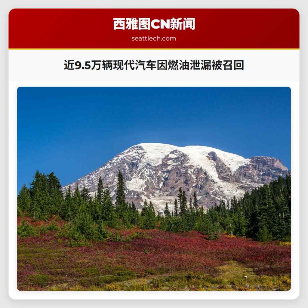 近9.5万辆现代汽车因燃油泄漏被召回