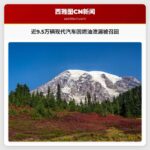 近9.5万辆现代汽车因燃油泄漏被召回