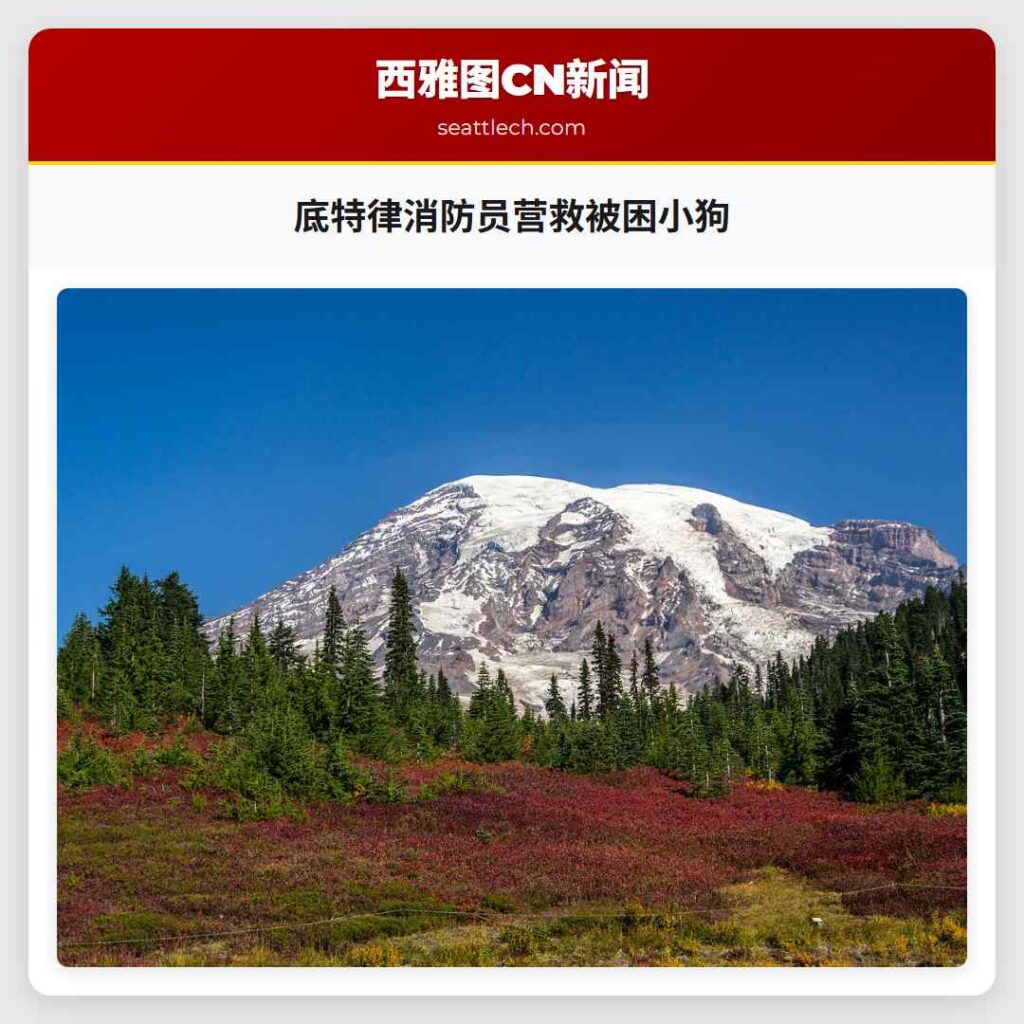 底特律消防员营救被困小狗