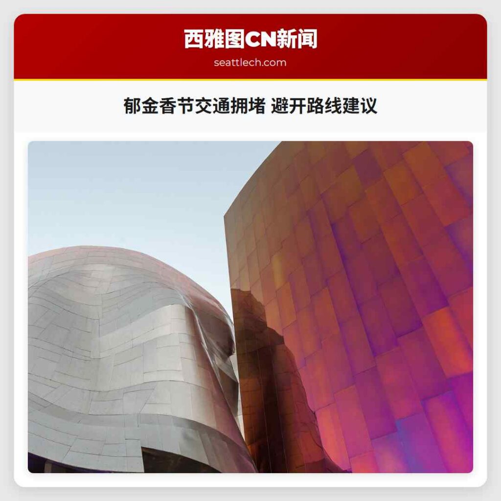 郁金香节交通拥堵 避开路线建议