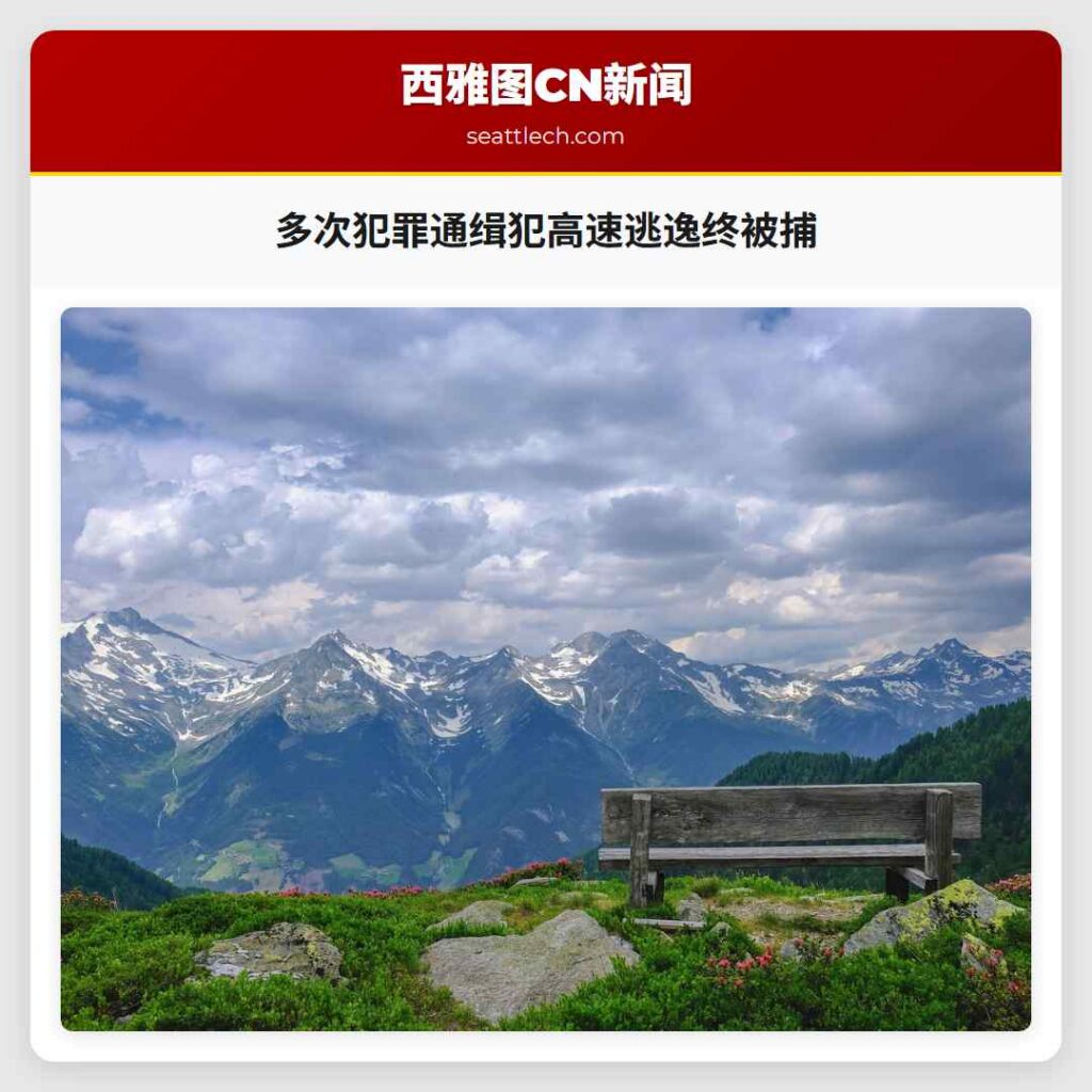 多次犯罪通缉犯高速逃逸终被捕