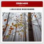 I-5南向车道恢复 事故致早高峰拥堵