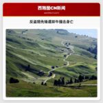 反盗猎先锋遭犀牛撞击身亡