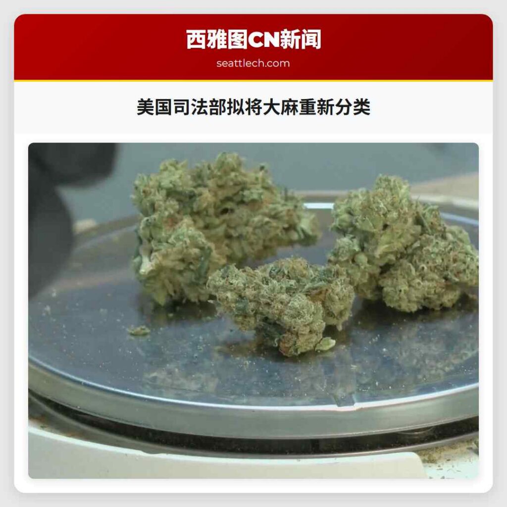 美国司法部拟将大麻重新分类