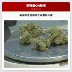 美国司法部拟将大麻重新分类