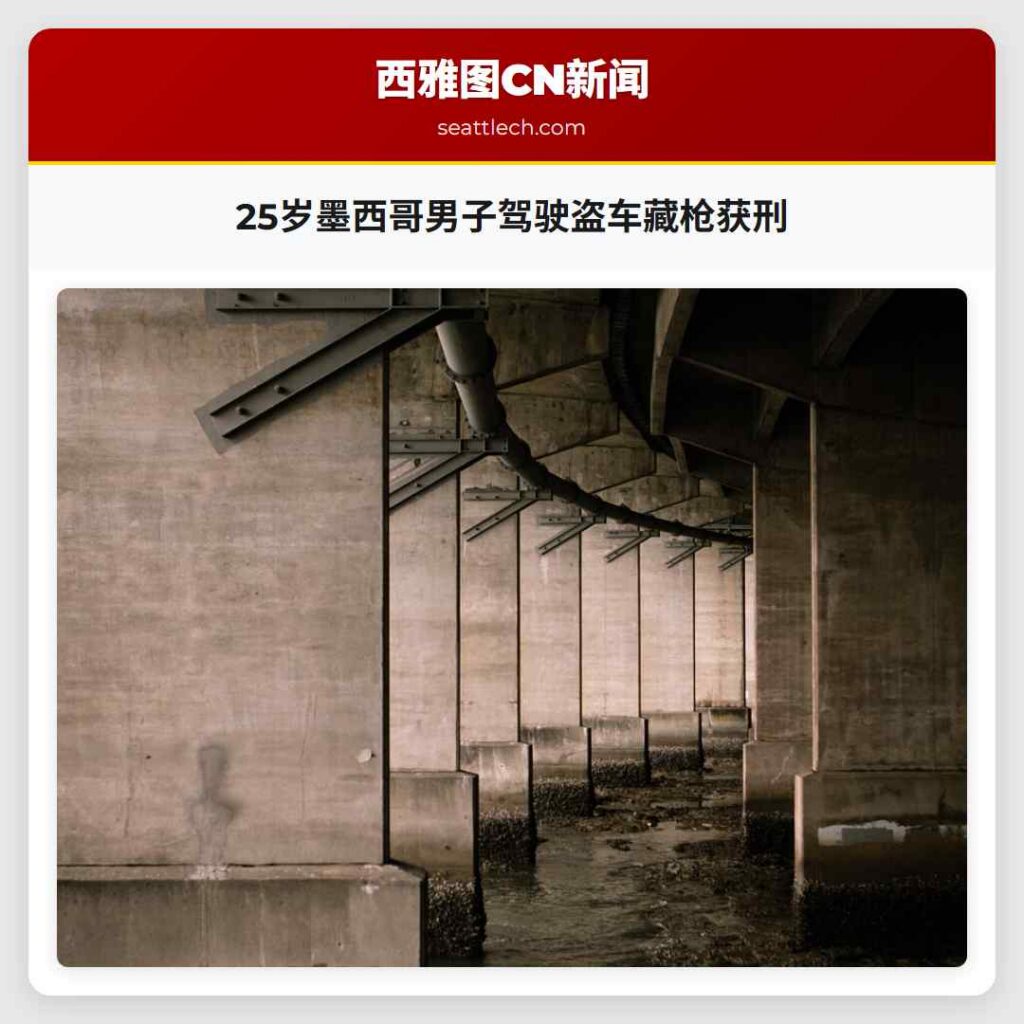 25岁墨西哥男子驾驶盗车藏枪获刑