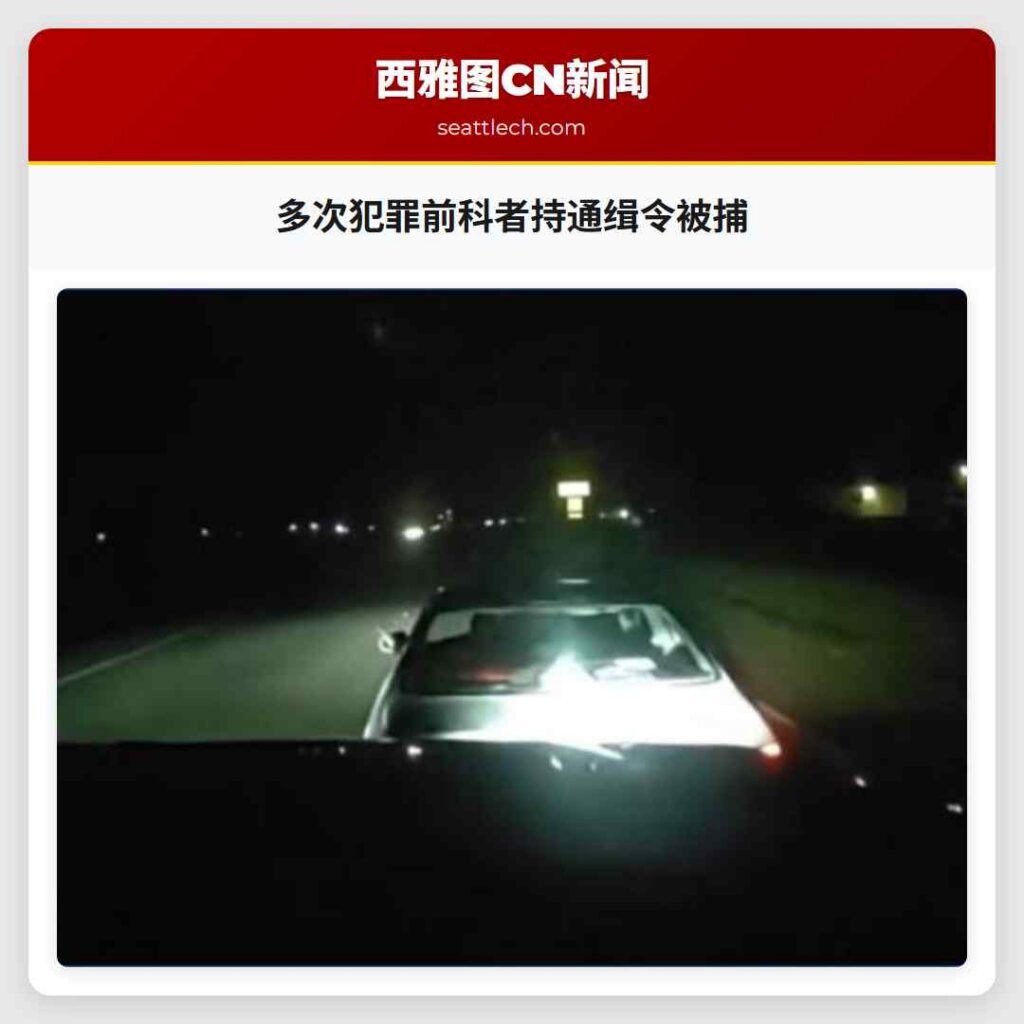 多次犯罪前科者持通缉令被捕