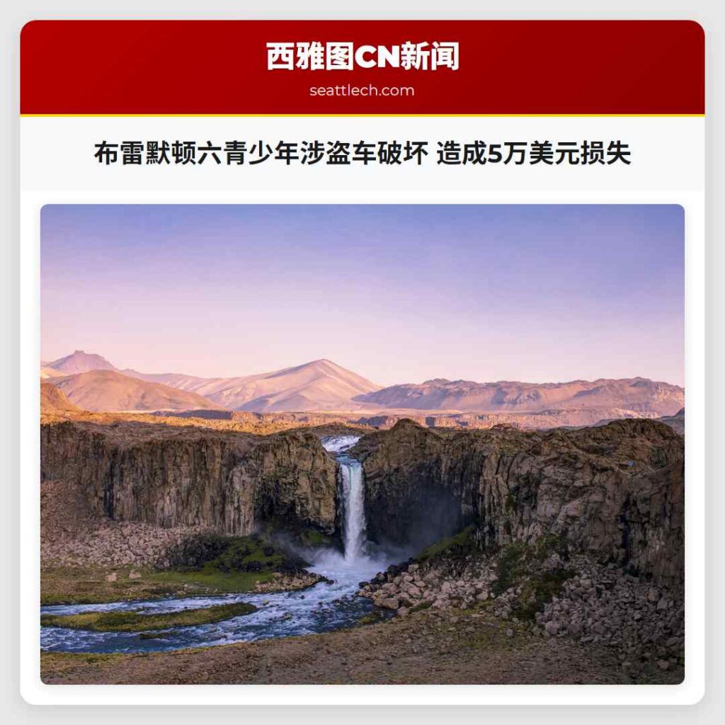 布雷默顿六青少年涉盗车破坏 造成5万美元损失