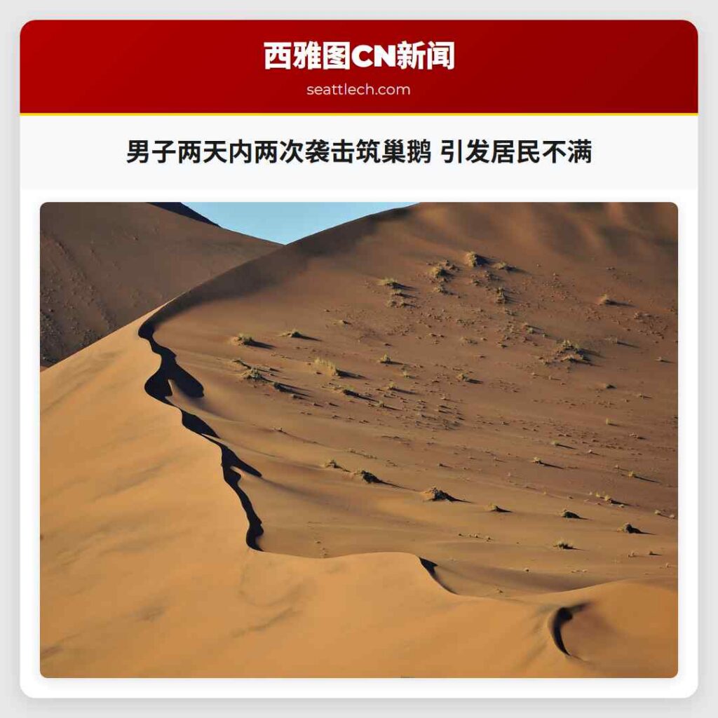 男子两天内两次袭击筑巢鹅 引发居民不满