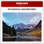 塔科马狗训练场员工被起诉教狗打架致伤