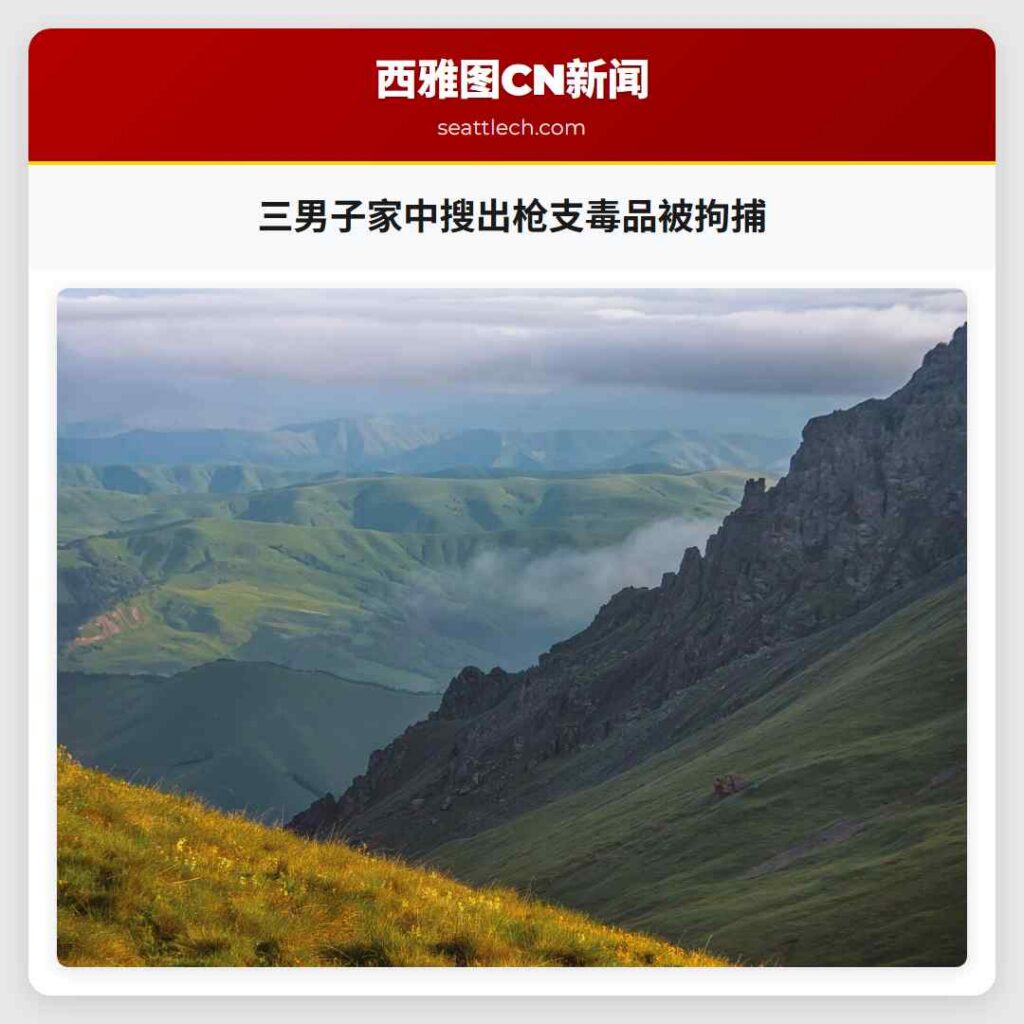 三男子家中搜出枪支毒品被拘捕