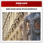 惠德比岛现座头鲸幼崽 萨拉托加海峡再现生机