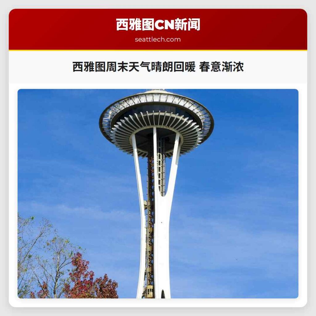 西雅图周末天气晴朗回暖 春意渐浓