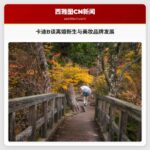 卡迪B谈离婚后新生与美妆品牌发展