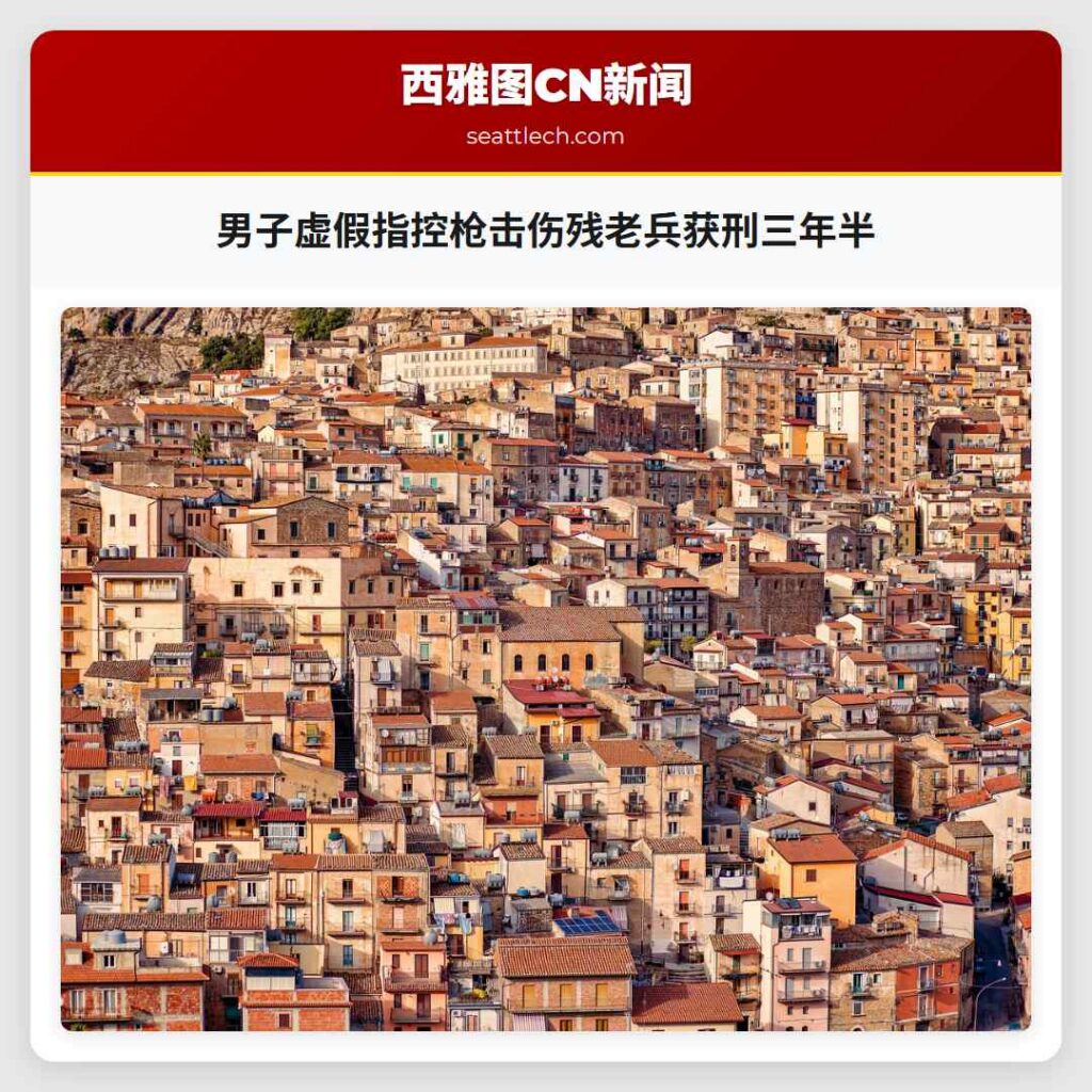 男子虚假指控枪击伤残老兵获刑三年半